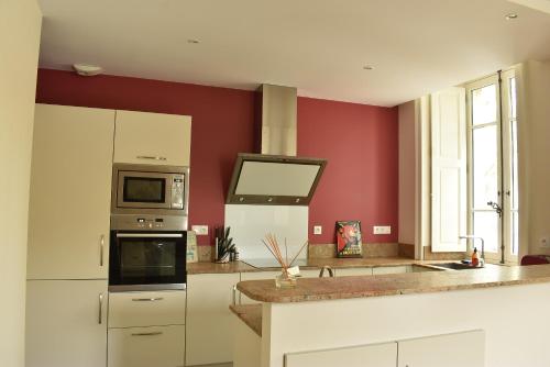 シャトー・ゴンティエにあるMaison de charme, 8 pers, centre-ville de Château Gontierの赤い壁のキッチン、カウンター(電子レンジ付)