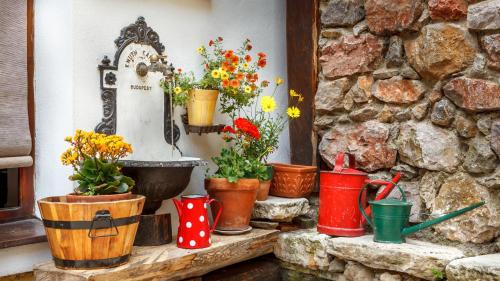 a bunch of potted plants sitting on a ledge at Penzion Barborka in Poprad