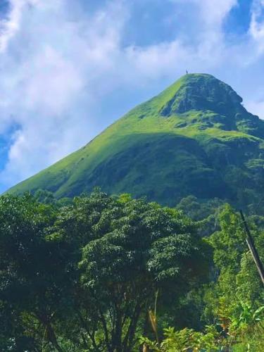 a green mountain with trees in front of it at narangala skycamping in Bokanoruwa