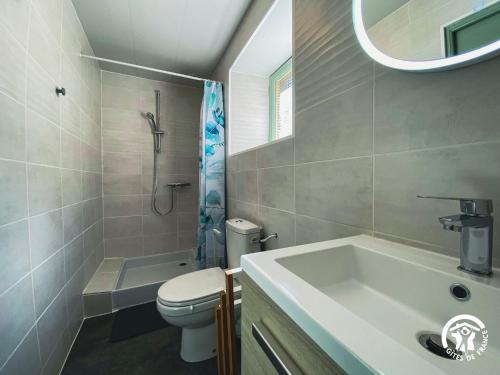 a bathroom with a sink and a toilet and a mirror at Le Square des Fleurs in Le Nayrac