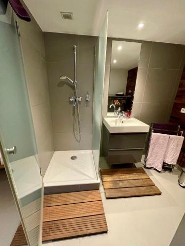 a bathroom with a shower and a sink at Meublés Les Charmettes in Chambéry