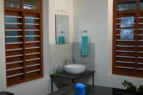 une salle de bains avec un lavabo blanc et un miroir dans l'établissement Nutmeg nirvana, à Erāttupetta