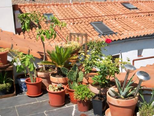 Lovely Loft Apartment Madrid Center