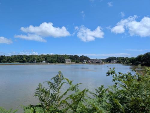 a view of a large lake with trees and clouds at Du golfe in Crach