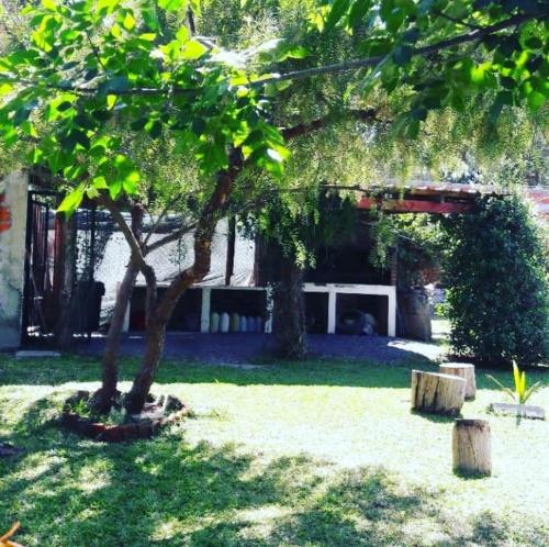 a tree in a yard next to a building at Quinta El Reencuentro tu refugio en Campana in Campana