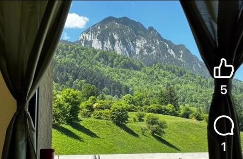 a window with a view of a mountain at Casa Craiului in Zărneşti