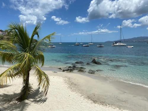 Φυσικό τοπίο κοντά σε αυτό το διαμέρισμα