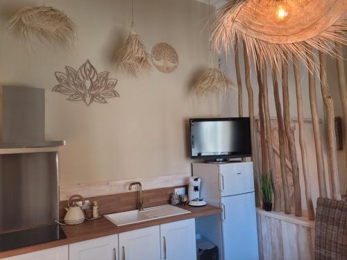 a kitchen with a sink and a tv on the wall at Bel des Prés - Cocùn - Piscine partagée in Carquefou