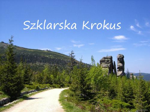 Apartament Szklarska Krokus - 7 minut pieszo - kolej linowa na Szrenicę, wysoki standard, światłowód, AGD, TV, parking
