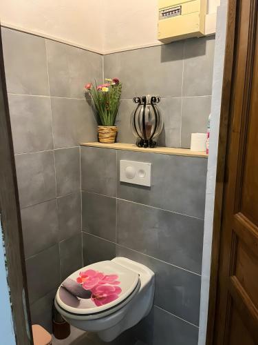 ein Badezimmer mit einer Toilette mit rosa Blumen darauf in der Unterkunft Maisonnette au coeur du Luberon in Gondonnets