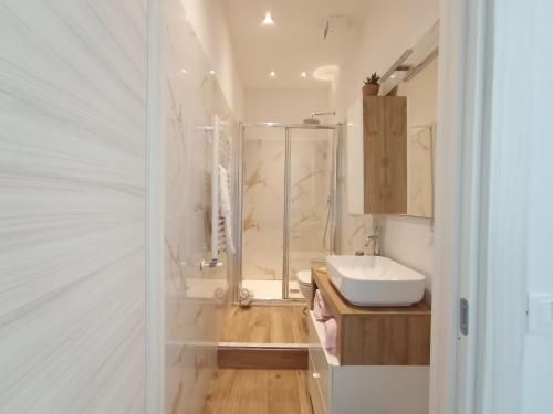 a bathroom with a shower and a white sink at Al molo 21 in La Spezia