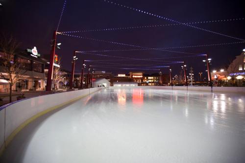 Fotografie z fotogalerie ubytování Embassy Suites by Hilton Chicago O'Hare Rosemont v destinaci Rosemont