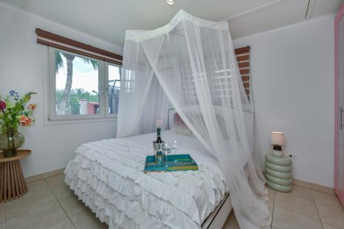 Beach house with pool in noord