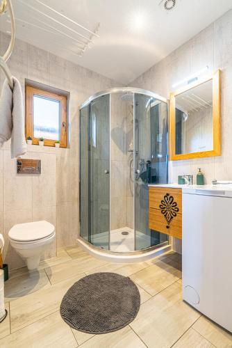 a bathroom with a shower and a toilet and a sink at Domki-Przystanek Dzianisz in Dzianisz