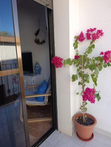 a potted plant with pink flowers in a pot next to a door at Apartamento Puerta Grana Priego. in Priego de Córdoba