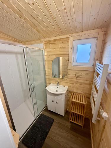 a small bathroom with a sink and a shower at Le Chalet de la Vernie in Saint-Léger-les-Mélèzes