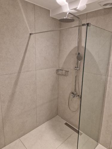 a shower stall with a glass door in a bathroom at Skoza farm house in Nárkissos