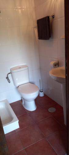 a bathroom with a white toilet and a sink at Wohnung bei Guia de Isora auf Finca Los Meneses in Guía de Isora