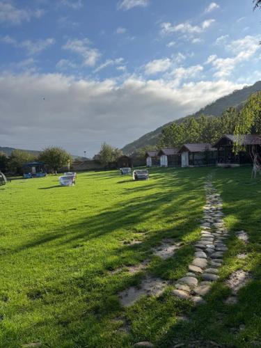 Příroda nedaleko bed and breakfast