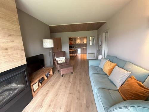 TV a/nebo společenská místnost v ubytování Garden and spectacular views