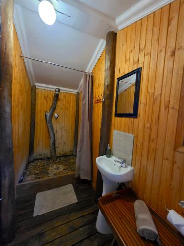 a bathroom with a shower and a sink and a toilet at Kruger Dreams Lodge in Marloth Park