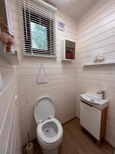 a small bathroom with a toilet and a sink at Houseboat Rosie in Prague