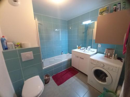 a bathroom with a toilet sink and a washing machine at 100m lac et piste cyclable avec parking gratuit in Sévrier