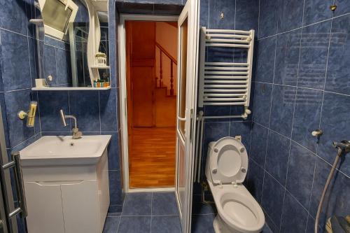 VILLA SABA WITH TWO BEDROOMS- სასტუმრო საბა في متسختا: حمام من البلاط الأزرق مع مرحاض ومغسلة