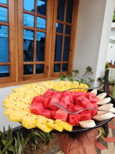 Comida en la habitación en casa particular o alrededores