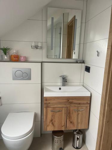 Koupelna v ubytování Neu renovierte Dachgeschosswohnung