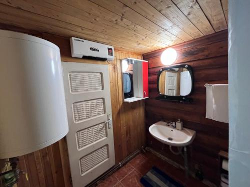 a small bathroom with a sink and a mirror at Cabana trei paltini in Poiana Vadului