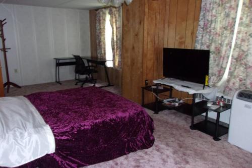 une chambre avec un lit et un bureau avec une télévision dans l'établissement NiceShortStayMassena, à Massena