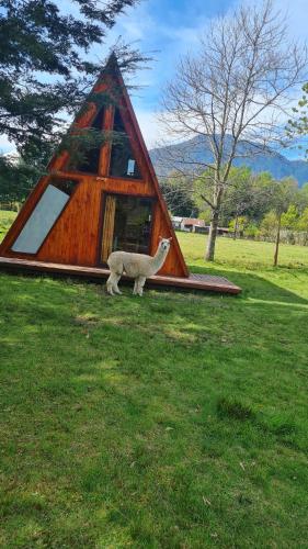 Φωτογραφία από το άλμπουμ του Coñaripe Kuyen Mapu Cabañas σε Conaripe