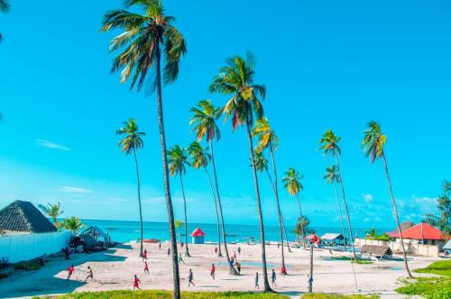 Photo de la galerie de l'établissement Zazu Beach House, à Nungwi