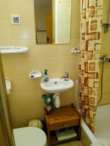 a bathroom with a sink and a toilet and a mirror at Dom Wschodzącego Słońca in Solina