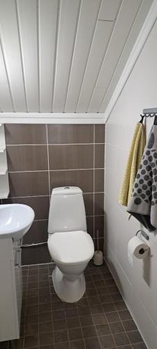 a bathroom with a white toilet and a sink at Log cottage by the lake in Kuopio
