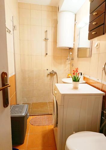 a bathroom with a shower and a toilet and a sink at Home Sweet Home No1 in Belgrade