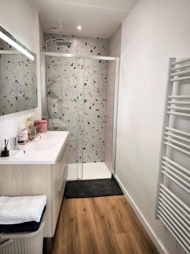 Appartement Prestige Cœur de Reims