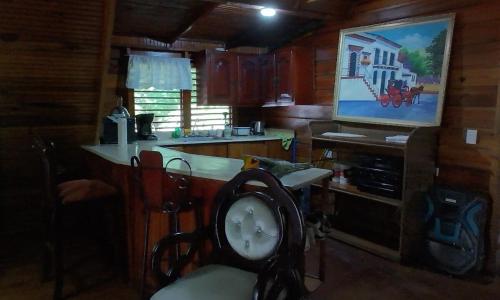 Wooden Paradise in Jarabacoaにあるキッチンまたは簡易キッチン