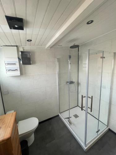 Appartement في لا ترانش سور مير: حمام مع دش زجاجي ومرحاض