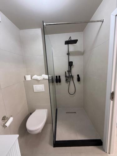 a bathroom with a toilet and a glass shower at Golden Sky Residence in Satu Mare