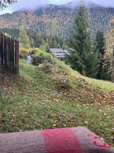a grassy hill with a fence and trees in the background at Hüttli Chalet mit atemberaubendem Weitblick in Naters