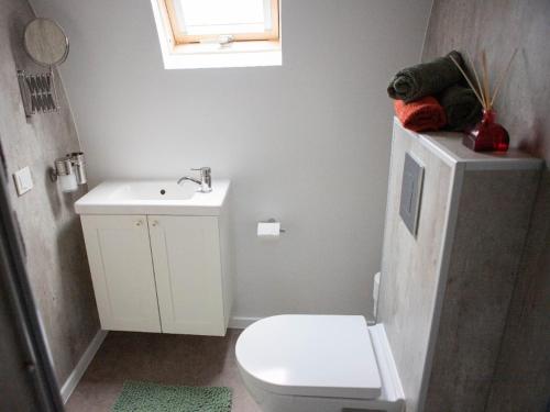 HaghorstにあるTiny Home in Oirschot next to forestの白いトイレと洗面台のあるバスルーム