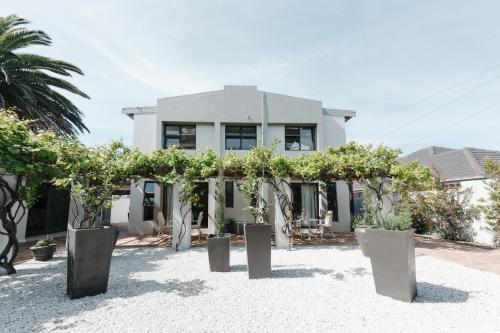 ヘルマナスにあるWhale Away Guest Houseの目の前に木々が植えられた白い家