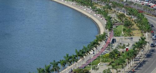 a street with palm trees next to a body of water at T1 - Mutamba , Luanda, Angola - Centro da Cidade in Luanda