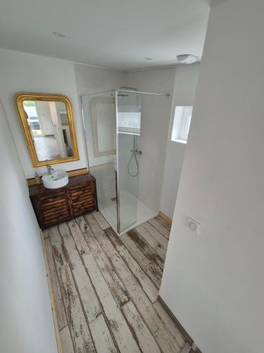 a bathroom with a shower and a sink and a mirror at ALBI Logement spacieux in Albi