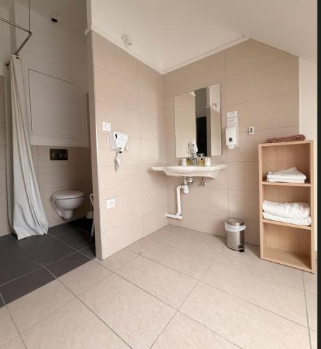 a bathroom with a sink and a toilet at Maison Des Augustines in Saint-Amand-les-Eaux