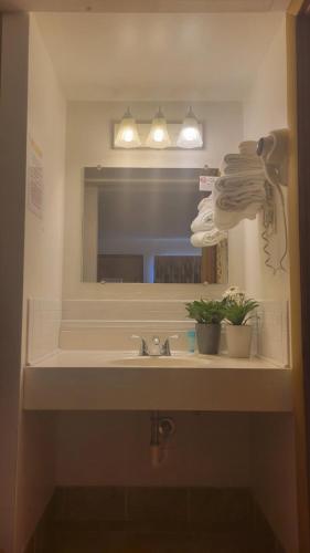 a bathroom with a sink and a mirror at Beltway Motel and Suites in Halethorpe