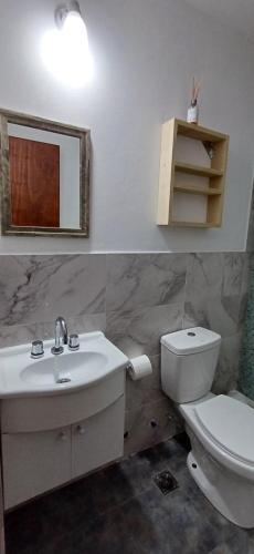 a bathroom with a toilet and a sink and a mirror at Los Pecos Hospedaje in Ostende
