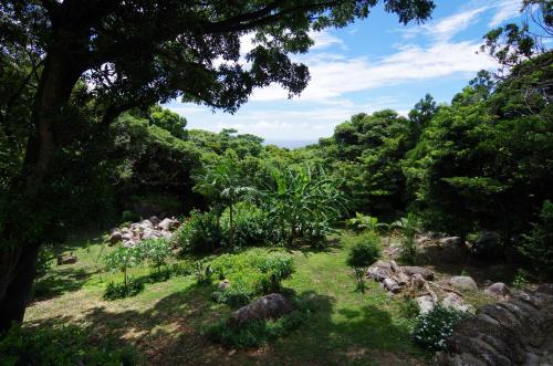 a garden with rocks and trees and grass at Cottage Views in Yakushima